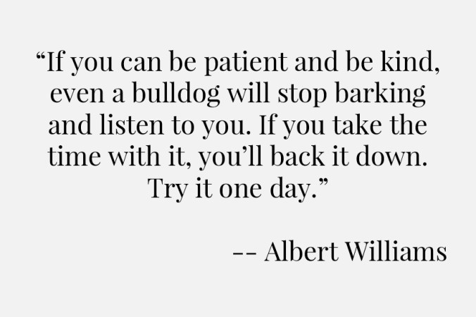 Albert-Williams quote